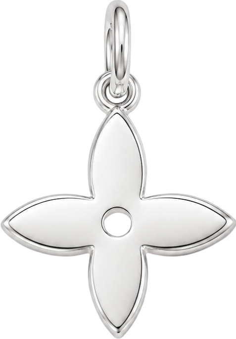HIDE_CHARM_IMAGE