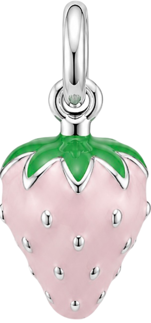 HIDE_CHARM_IMAGE