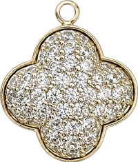 HIDE_CHARM_IMAGE