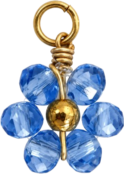 HIDE_CHARM_IMAGE