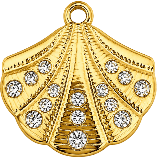 HIDE_CHARM_IMAGE