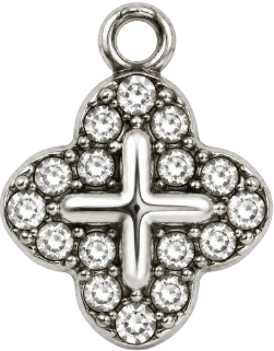 HIDE_CHARM_IMAGE