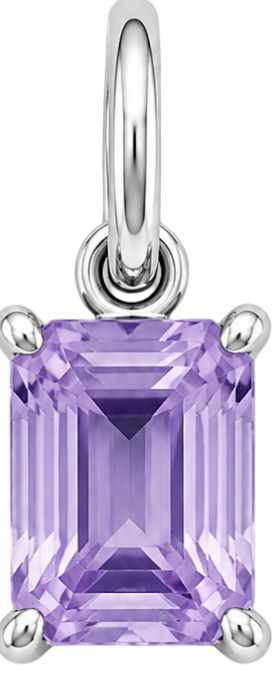 HIDE_CHARM_IMAGE