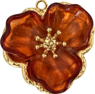 HIDE_CHARM_IMAGE