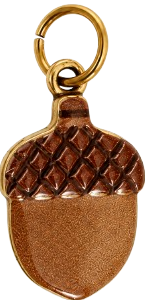 Charms noisette en acier inoxydable – Moyen