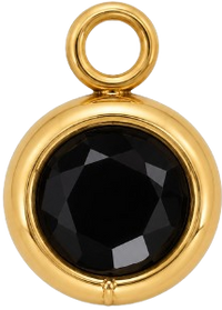 Charms Strass noir en acier inoxydable – Mini