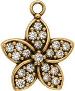 HIDE_CHARM_IMAGE