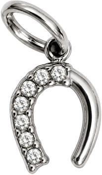 HIDE_CHARM_IMAGE