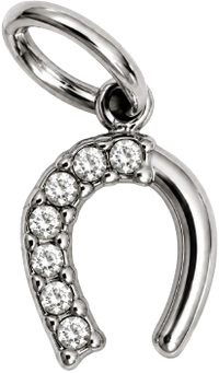 Charms fer à cheval argenté en acier inoxydable – Petit