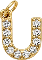 HIDE_CHARM_IMAGE