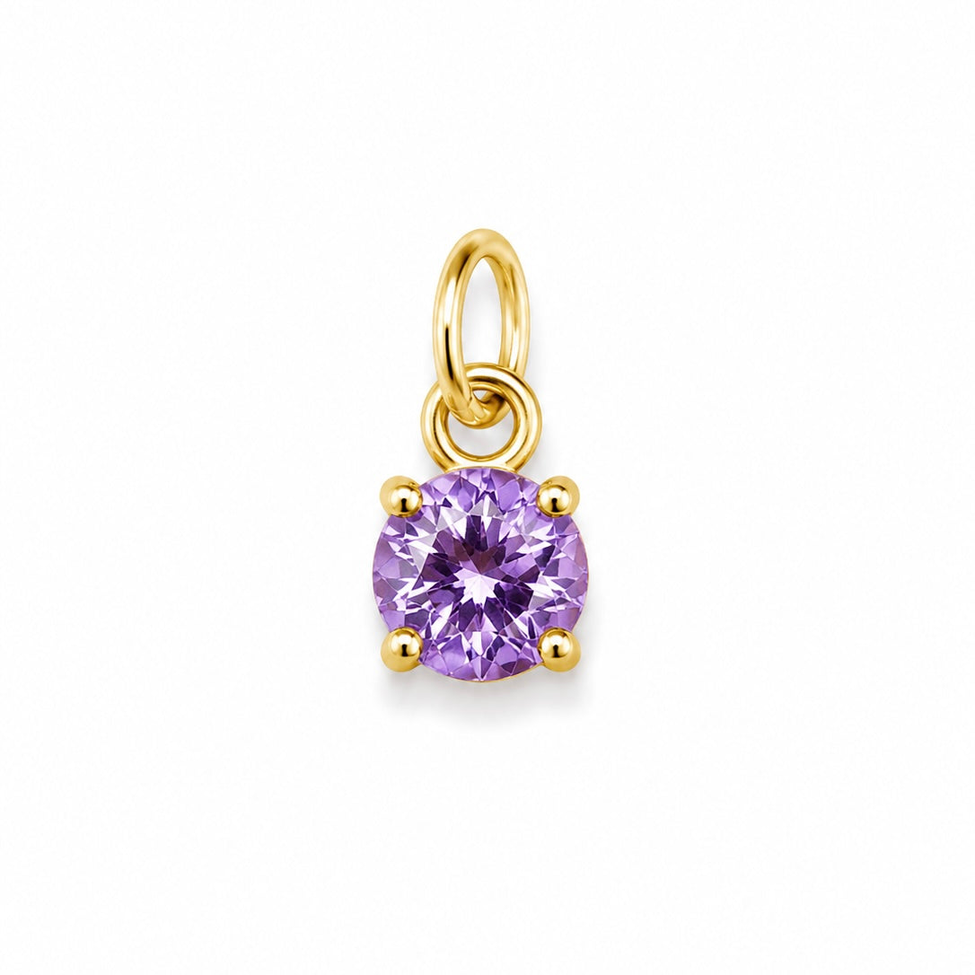 Charms petit violet
