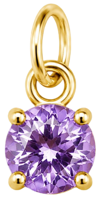 Charms petit violet