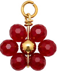 HIDE_CHARM_IMAGE