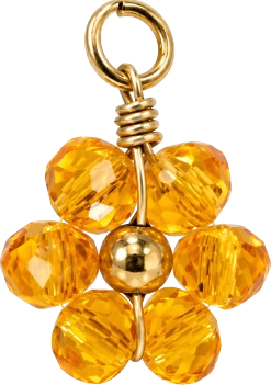 HIDE_CHARM_IMAGE