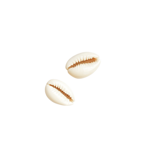 Charms coquillage