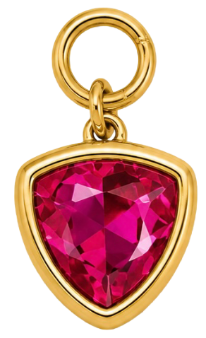 HIDE_CHARM_IMAGE 