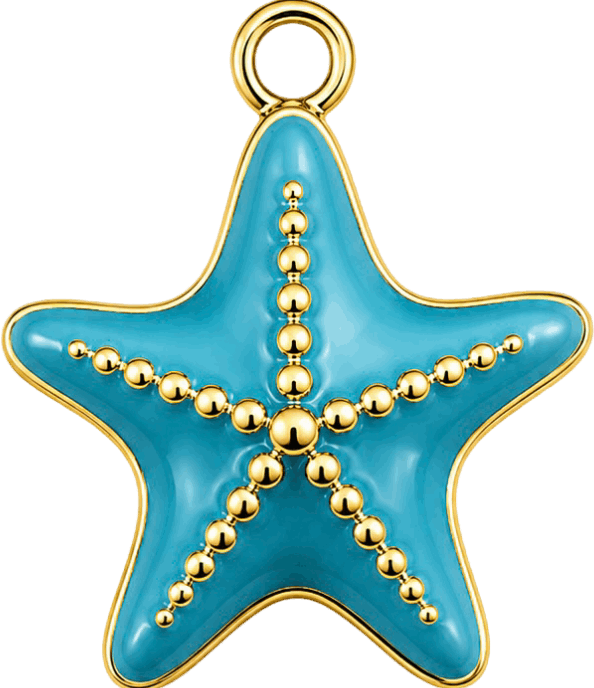  HIDE_CHARM_IMAGE 