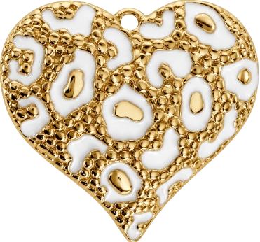 HIDE_CHARM_IMAGE