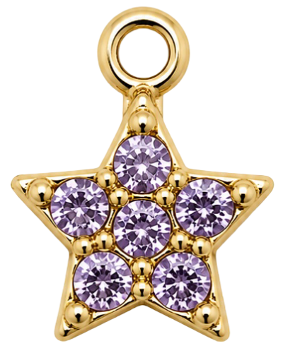 HIDE_CHARM_IMAGE 