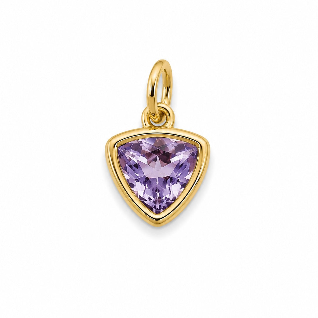 Charms strass violet