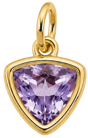 HIDE_CHARM_IMAGE 
