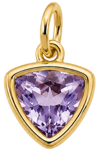 Charms strass violet