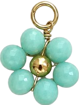 HIDE_CHARM_IMAGE