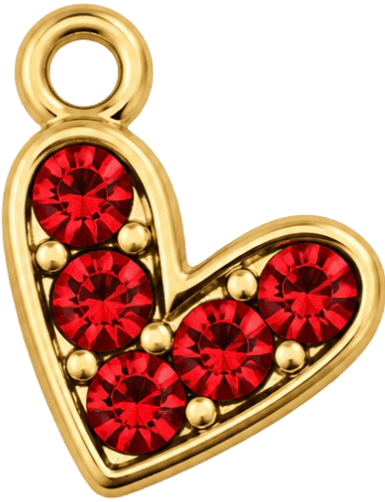 HIDE_CHARM_IMAGE