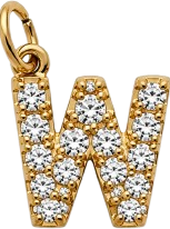 HIDE_CHARM_IMAGE