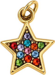 HIDE_CHARM_IMAGE