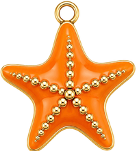 Charms Étoile de Mer Orange en acier inoxydable – bijou fait main Suisse