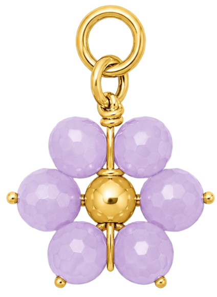 HIDE_CHARM_IMAGE 