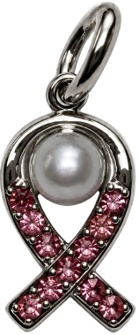 HIDE_CHARM_IMAGE