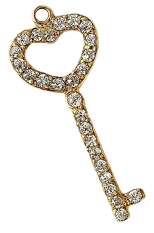 HIDE_CHARM_IMAGE