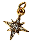HIDE_CHARM_IMAGE