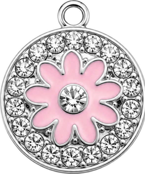 HIDE_CHARM_IMAGE
