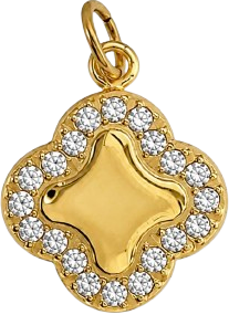 HIDE_CHARM_IMAGE