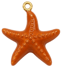 Charms étoile de mer nacré