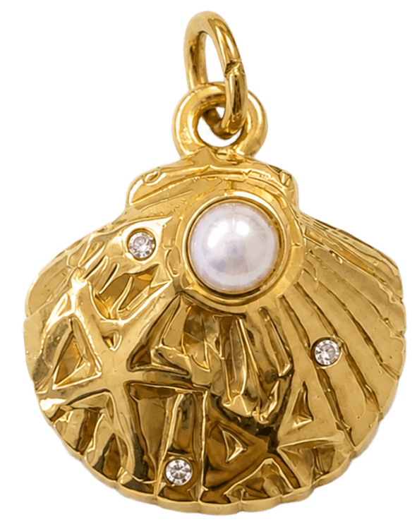 HIDE_CHARM_IMAGE   