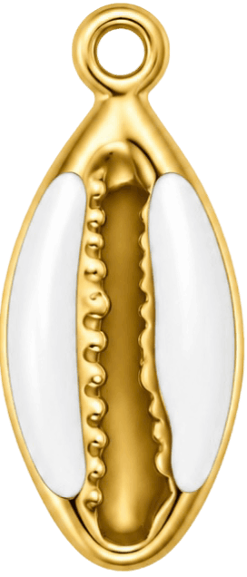 HIDE_CHARM_IMAGE