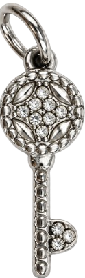 HIDE_CHARM_IMAGE