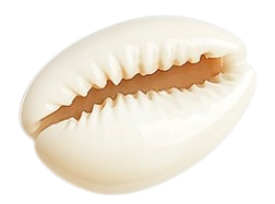 HIDE_CHARM_IMAGE